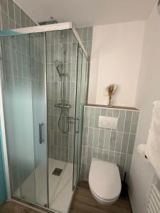 a bathroom with a shower and a toilet at Le Petit Bleu Studio - Boulouris in Saint-Raphaël +6 photos