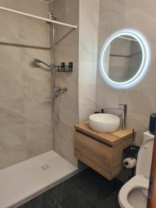 a bathroom with a shower and a sink and a toilet at Studio rénové Ovronnaz chalet Orion in Ovronnaz +3 photos
