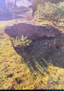 a large rock sitting on the side of a field at chambre Chez Sylvie in Allaire