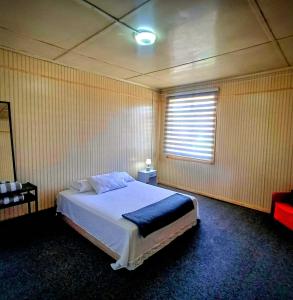 a bedroom with a bed and a window at Central House in Punta Arenas