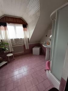 a attic bathroom with a sink and a toilet at Hotel Avion in Prostějov +48 photos