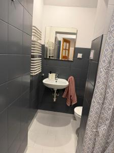 a bathroom with a sink and a toilet and a mirror at Dzikie Fiołki in Karpacz +113 photos