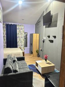 a living room with a couch and a bed at Cozy Nest & Car rental in Scarborough