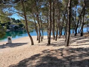 a group of trees on a beach next to the water at Mobile homes Laguna, beach Porat, Drage in Drage