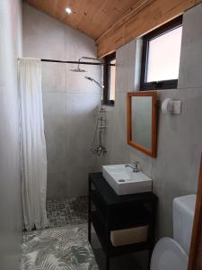 a bathroom with a sink and a shower at Acacia Retreat in Île La Fond