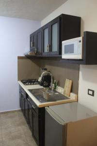 a kitchen with a sink and a microwave at Villas Tecuanapan in Xalapa