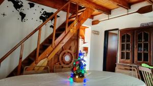 a christmas tree sitting on a table in a room at Velero de Mar in Las Grutas