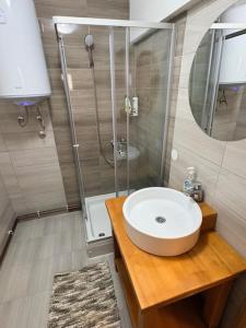 a bathroom with a sink and a shower at Villa Rustica in Šišava +34 photos