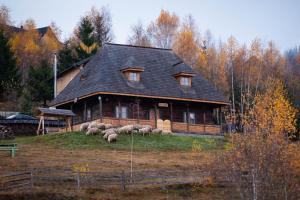 a herd of sheep grazing in front of a house at Casa Vlădușca in Peştera