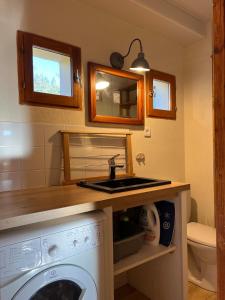 a bathroom with a sink and a washing machine at Chalet confort avec cheminée in Camprieu +38 photos