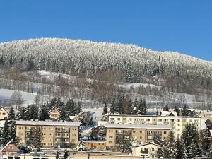 a city with buildings and a mountain in the background at Apartmán Votoček in Rokytnice nad Jizerou