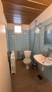 a bathroom with a toilet and a sink at Chalupa U lesa in Karlova Studánka