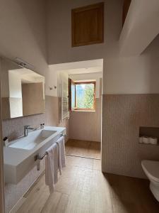 a bathroom with a sink and a toilet at Locanda Baita Donariè in San Vito di Cadore