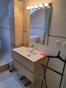 a bathroom with a sink and a mirror at L'estrade des Alpes 45m2 petit-déjeuner inclus in Saint-Alban-de-Roche +17 photos