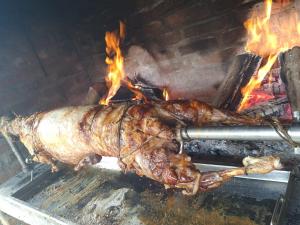 a largeopus cooking in a brick oven with flames at Kuća za odmor San in Lonja