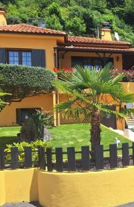 a palm tree in front of a house at Casa Afonso in Ventosa