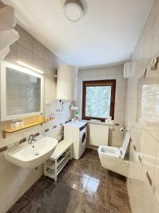 a bathroom with a sink and a toilet at Triglav NP Apartment - above Bled in Zgornje Gorje +51 photos