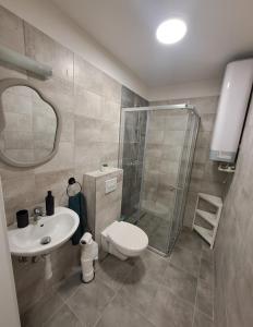 a bathroom with a shower and a toilet and a sink at ApartmánPohoda in Opava