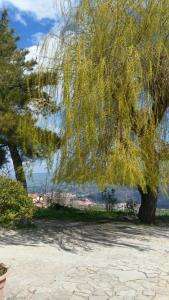 Galeriebild der Unterkunft Agriturismo Il Regio Tratturo in Baselice