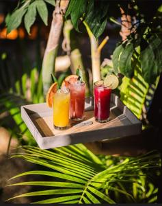 a tray with three cocktails on a table at ARKA Tulum in Tulum