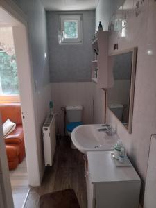 a bathroom with a sink and a toilet and a mirror at 1 Chambre d hôtes dans un écrin de verdure in Dambach