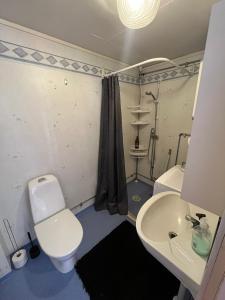 a bathroom with a toilet and a sink at Oleby Källbacken in Torsby +21 photos