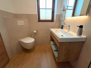 a bathroom with a sink and a toilet at Pension Kronenburghof in Erfurt