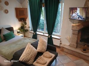a bedroom with a bed and a couch and a fireplace at Green Oasis Stylish Garden Studio Workspace in Linz +11 photos