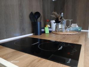 a kitchen counter with a black stove top oven at Green Oasis Stylish Garden Studio Workspace in Linz