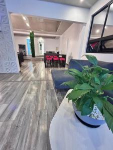 a living room with a couch and a table with a plant at Lavid Hotel Kennedy in Bogotá
