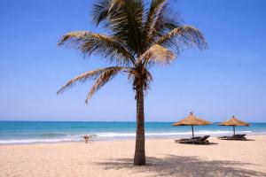 a palm tree on a beach with umbrellas and the ocean at Apartment 3 Brufut Residencies in Brufut