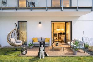 a dog sitting on a patio in front of a house at ApartView - ogród, taras, winda, widok na Jeziorak, Netflix i Max, parking in Iława
