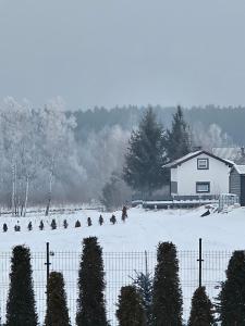 a group of birds in a field in the snow at Domek na Sosnowej in Wilków