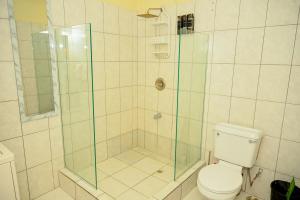 a bathroom with a glass shower with a toilet at Cozy one bedroom & Car rental apartment in Lambeau +7 photos