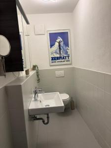 a bathroom with a sink and a toilet at Wohnung am Auepark in Kassel +10 photos