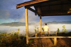 a man sitting on a bench looking at a foggy mountain at Labang Guesthouse Bario in Bario +4 photos