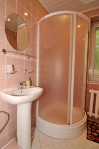 un bagno con doccia e lavandino di Poilsis prie Dineikos parko a Druskininkai Altre 41 foto