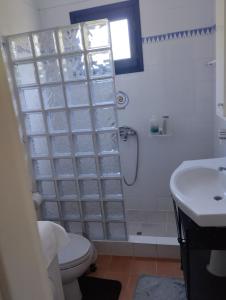 a bathroom with a shower and a toilet and a sink at arome de grenade in Nea Epidavros +21 photos