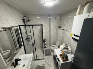 a bathroom with a shower and a sink and a toilet at APARTMAN DBR -Dobrinja Sarajevo-FREE GARAGE in Sarajevo +21 photos
