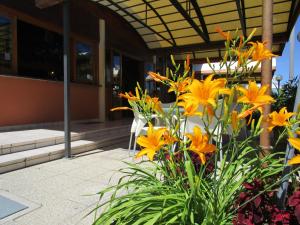 Albergo Primavera