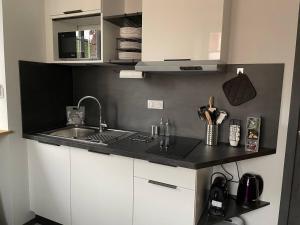 a kitchen with a sink and a counter top at Studio 3 étoiles avec grand JACUZZI PRIVÉ in Horbourg