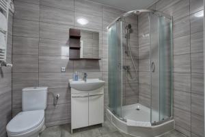 a bathroom with a shower and a toilet and a sink at Willa Świerkowa in Karpacz +50 photos