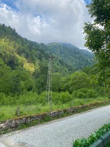 a telephone pole on the side of a road at Yıldız Otel Dağ Evi in Çamlıhemşin