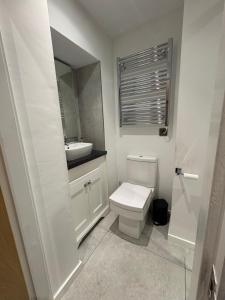 a bathroom with a white toilet and a sink at 1885 The Retreat in Matlock +20 photos