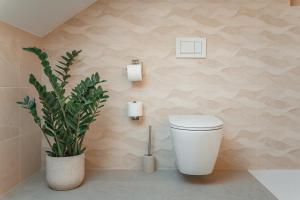 a bathroom with a toilet and a potted plant at Kala B&B in Kranjska Gora +16 photos