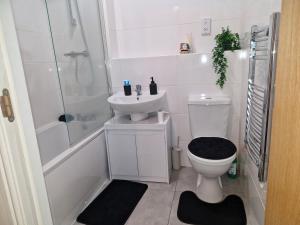 a bathroom with a toilet and a sink and a shower at The Cossy Nook in Bolton