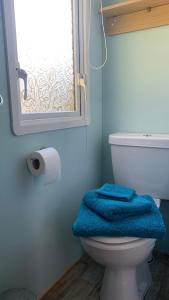 a bathroom with a toilet with a blue towel on it at Park Home in Watchet +9 photos