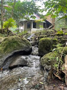 a stream with rocks in front of a house at Centro ecoturistico Arco del Tiempo in Cintalapa de Figueroa