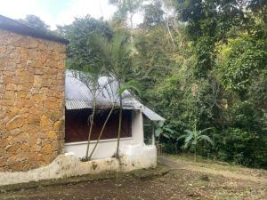 a building with a palm tree in front of it at Centro ecoturistico Arco del Tiempo in Cintalapa de Figueroa