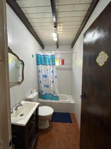 a bathroom with a sink and a toilet and a shower curtain at Casa 3 habitaciones in Tigre +63 photos